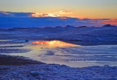 Frozen Pond